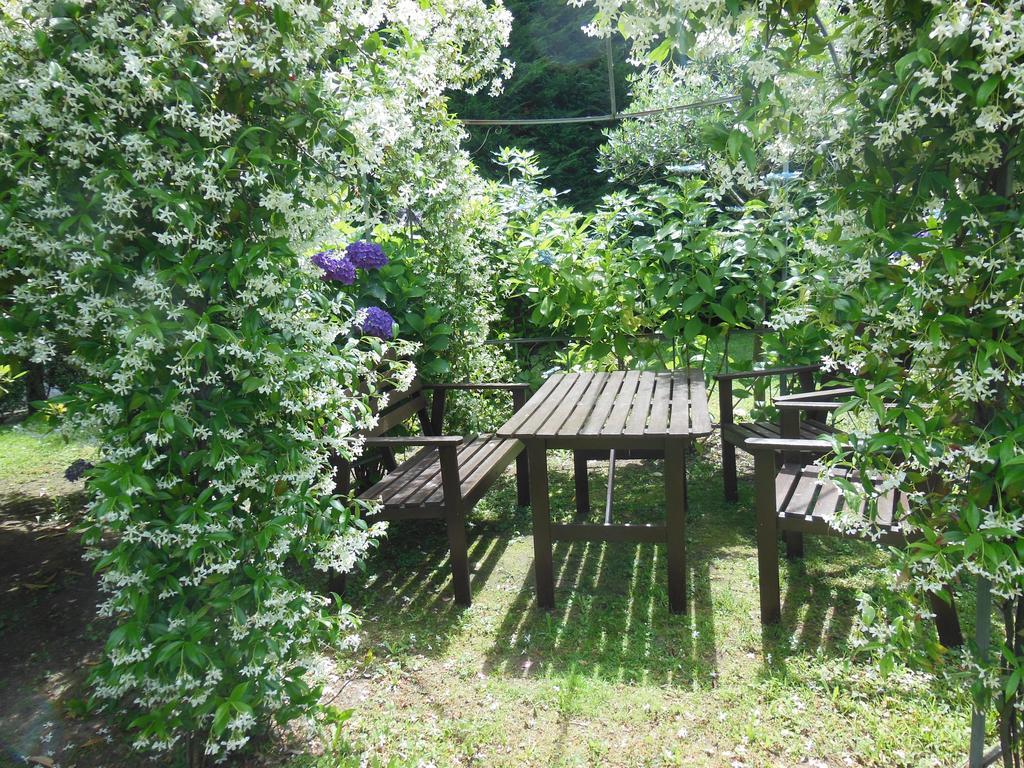 Villa Banana Cannobio Exterior photo